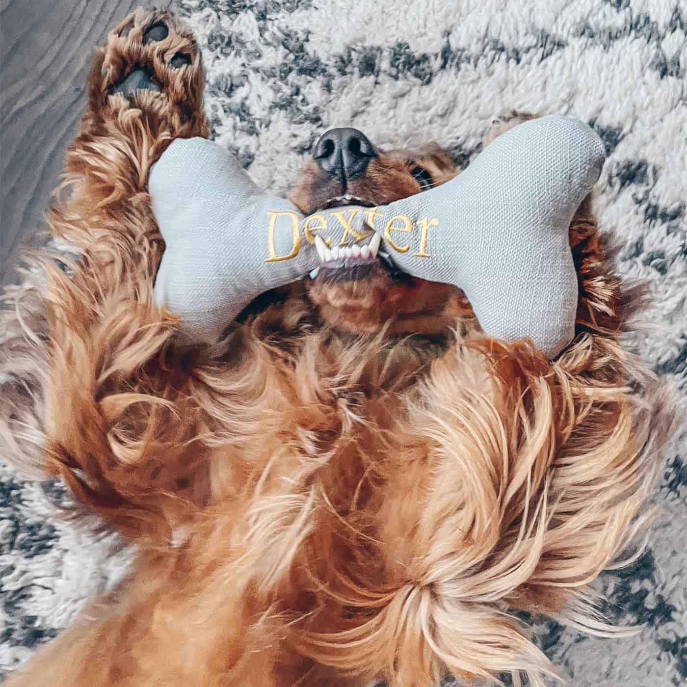 [colour: savanna stone] Present The Perfect Pet Playtime With Our Luxury Dog Bone Toy, In Stunning Savanna Stone! Available To Personalise Now at Lords & Labradors
