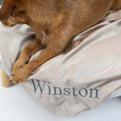 Dog & Puppy Velvet Blanket By Lords & Labradors