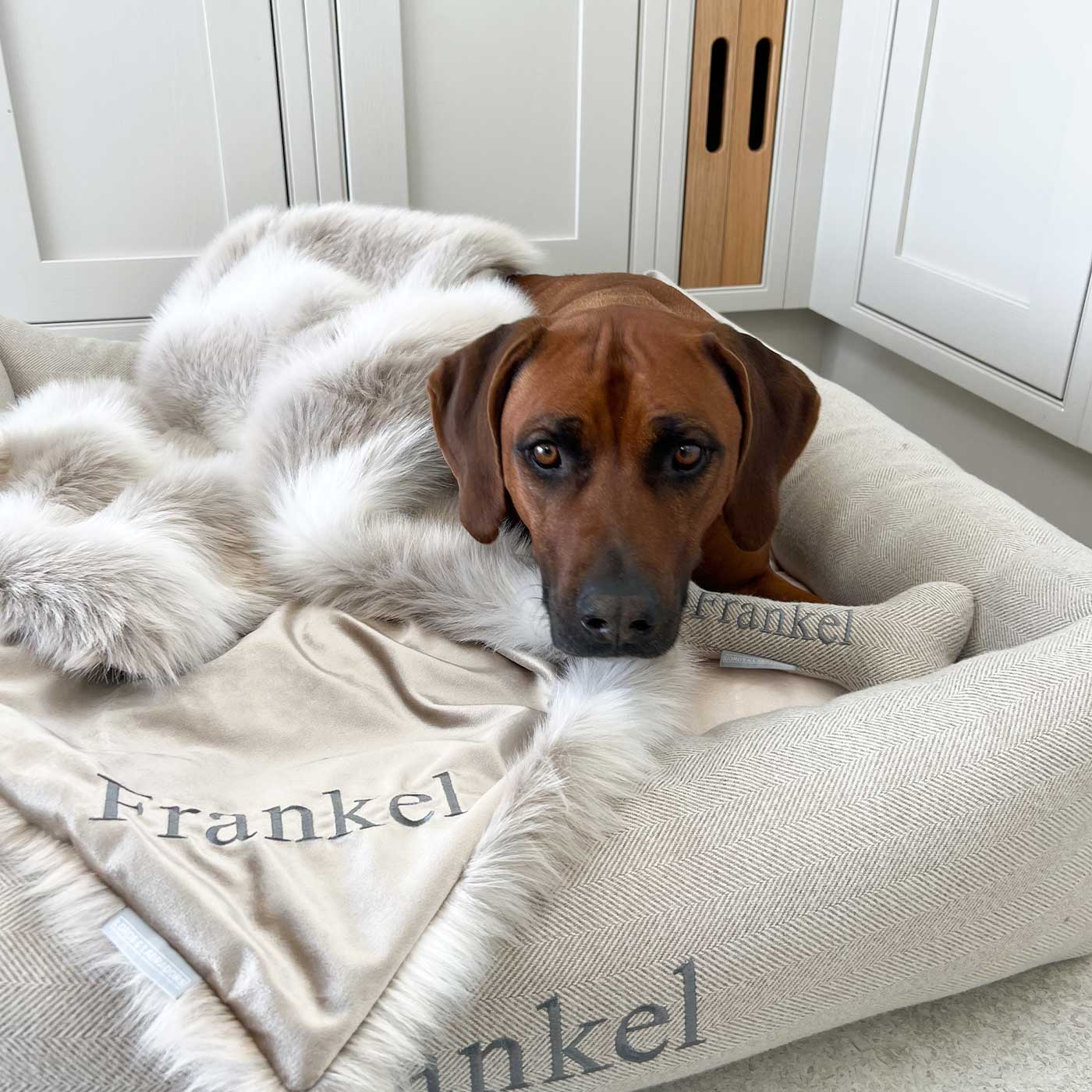 Discover Our Luxurious Mushroom Velvet & Reindeer Faux Fur Dog Blanket With Plush faux Fur Reverse, The Perfect Blanket For Dogs and Puppies, Available To Personalise And In 2 Sizes Here at Lords & Labradors