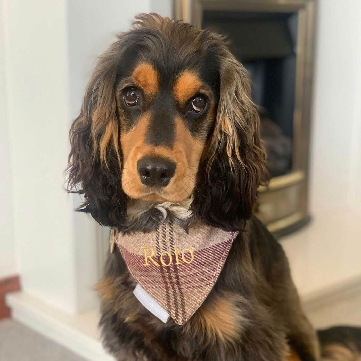  Discover The Perfect Bandana For Dogs, Our Luxury Dog Bandana In Stunning Mulberry Tweed Bandana, Available To Personalise Now at Lords & Labradors, Shop Luxury Pet Apparel Now Online