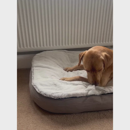 Dig & Dive Den Bed by Lords & Labradors
