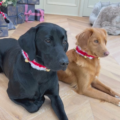 FuzzYard Jingle Bells Collar