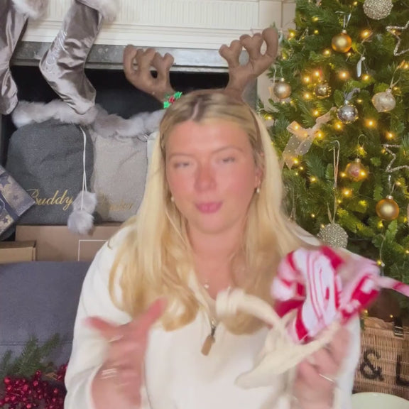 P.L.A.Y. Christmas Hot Chocolate Dog Toys Lords and Labradors