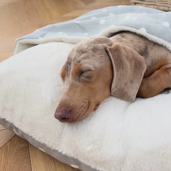 Discover The Perfect Burrow For Your Pet, Our Stunning Sleepy Burrow Dog Beds In Grey Spot, Is The Perfect Bed Choice For Your Pet, Available Now at Lords & Labradors 