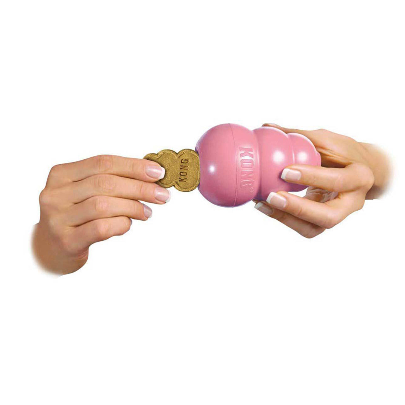 KONG Puppy Toys KONG Puppy Chew Toys Lords Labradors