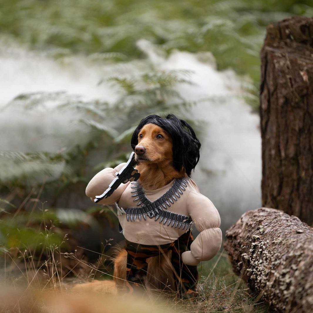 DIY Dog Halloween Costumes & Outfit Ideas L&L Info Hub Lords