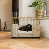 Gold Dog Crate with Regency Stripe Cushion & Bumper by Lords & Labradors