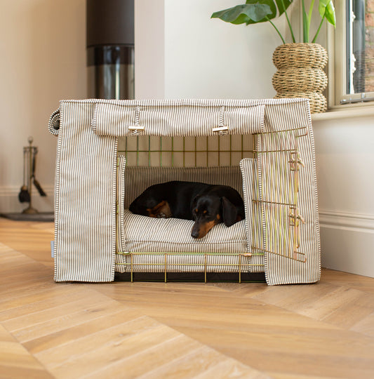 Dog Crate Set in Regency Stripe by Lords & Labradors