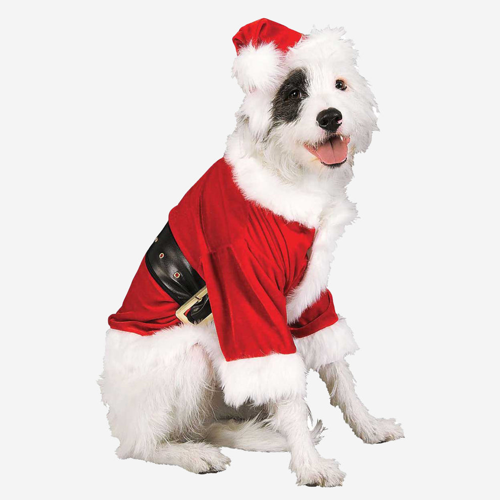 Christmas Santa Outfit Dog Costumes Lords and Labradors Lords