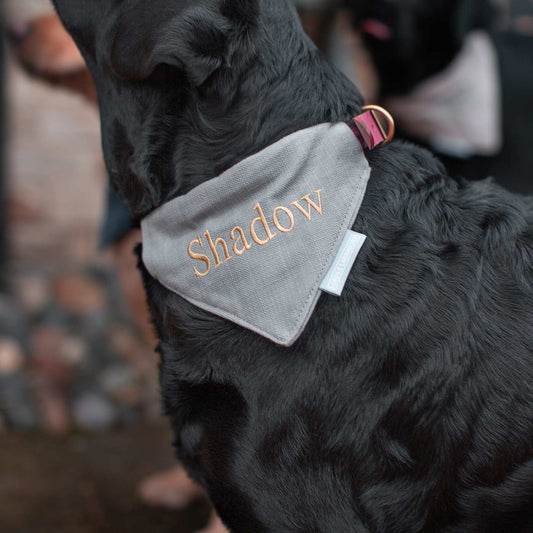 [color:savanna stone] Discover The Perfect Luxury Pet Bandana, in Stunning Savanna Stone! Available To Personalise Now at Lords & Labradors