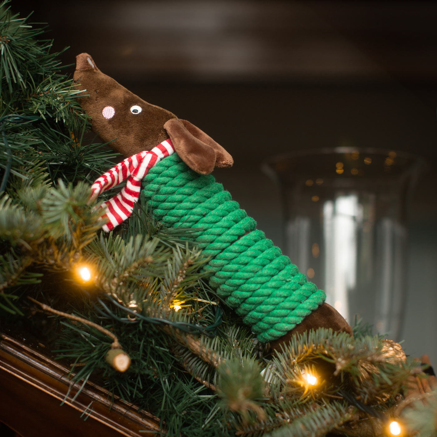 Frankie Sausage Tuff Rope PlayPal | Zoon Christmas Toys Lord ...