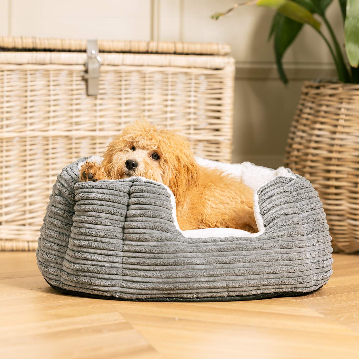 Discover Our Luxurious High Wall Bed For Dogs, Featuring inner pillow with plush teddy fleece on one side To Craft The Perfect Cat Bed In Stunning Essentials Dark Grey Plush! Available To Personalise Now at Lords & Labradors 