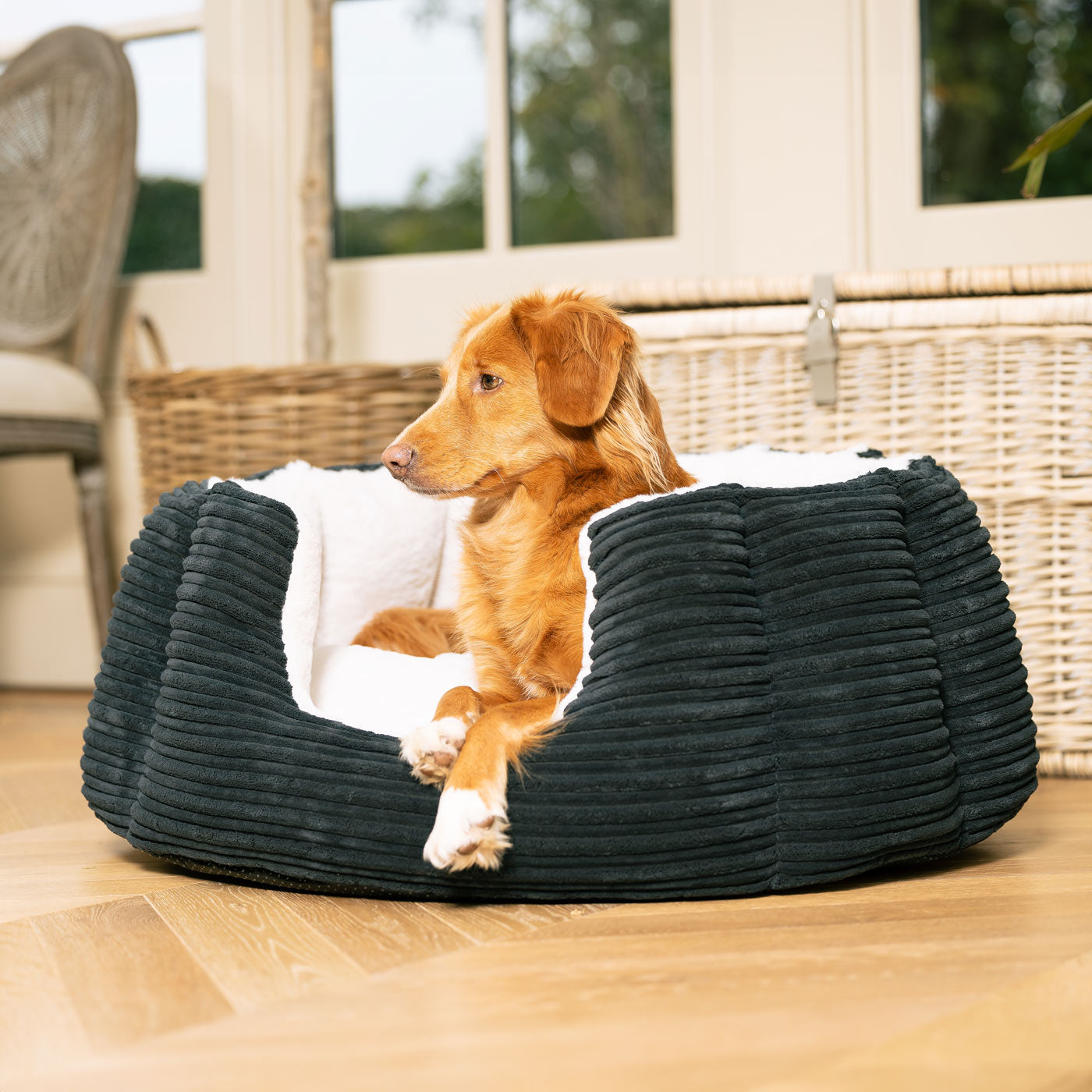 Discover Our Luxurious High Wall Bed For Dogs, Featuring inner pillow with plush teddy fleece on one side To Craft The Perfect Cat Bed In Stunning Essentials Navy Plush! Available To Personalise Now at Lords & Labradors    