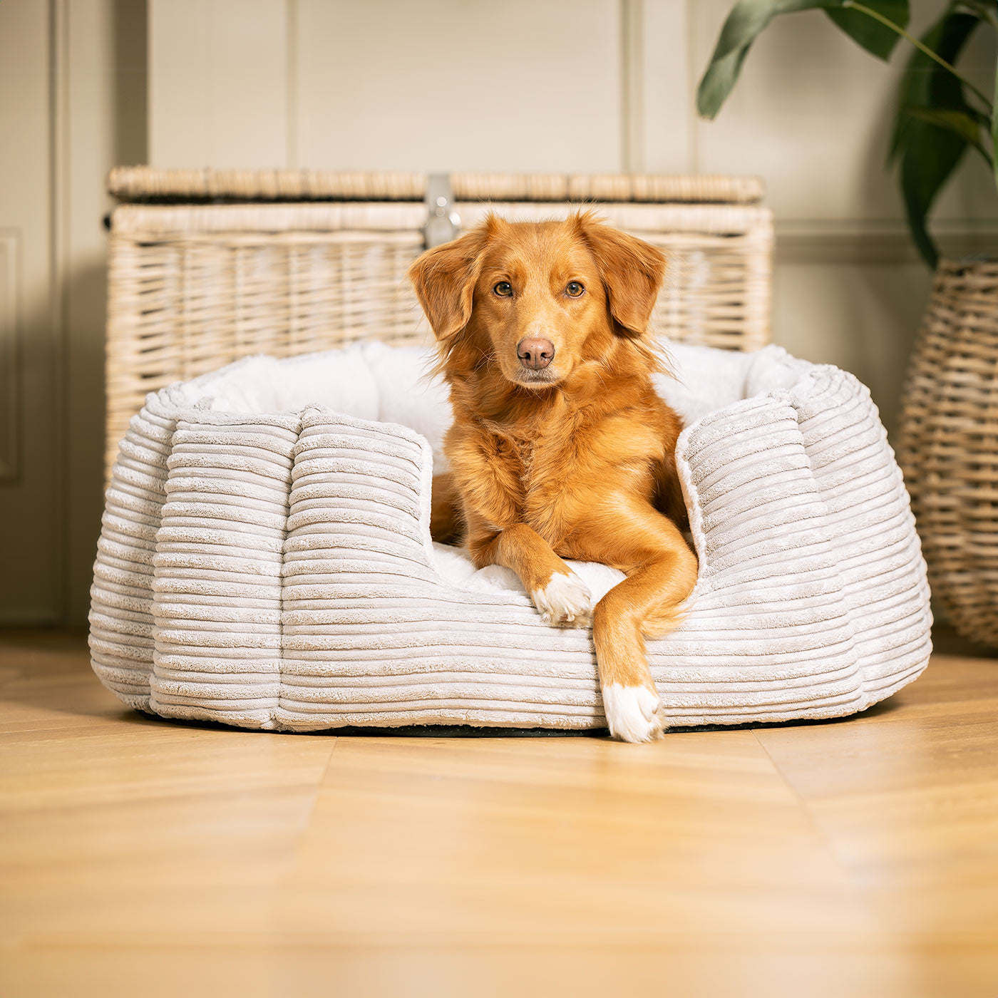 Discover Our Luxurious High Wall Bed For Dogs, Featuring inner pillow with plush teddy fleece on one side To Craft The Perfect Cat Bed In Stunning Essentials Light Grey Plush! Available To Personalise Now at Lords & Labradors    