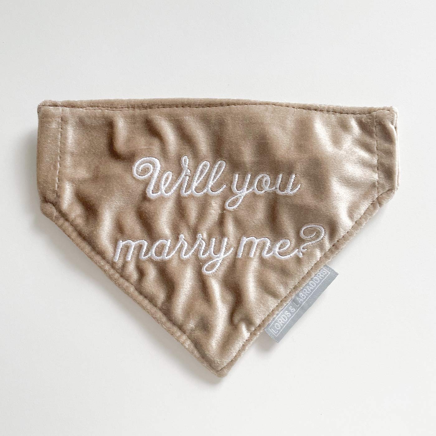 Discover The Perfect Bandana For Dogs, 'Will You Marry Me?' Valentine Dog Bandana In Luxury Mushroom Velvet, Available Now at Lords & Labradors