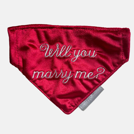 'Will You Marry Me?' Bandana In Cranberry Velvet