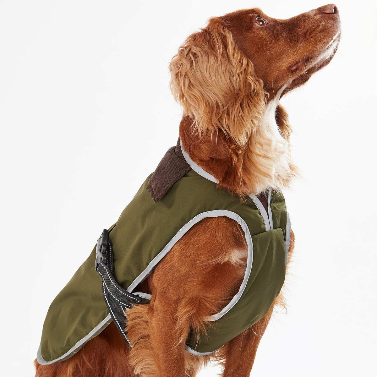 Lightweight Dog Coats