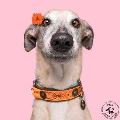 Boho Chica Dog Collar by DWAM
