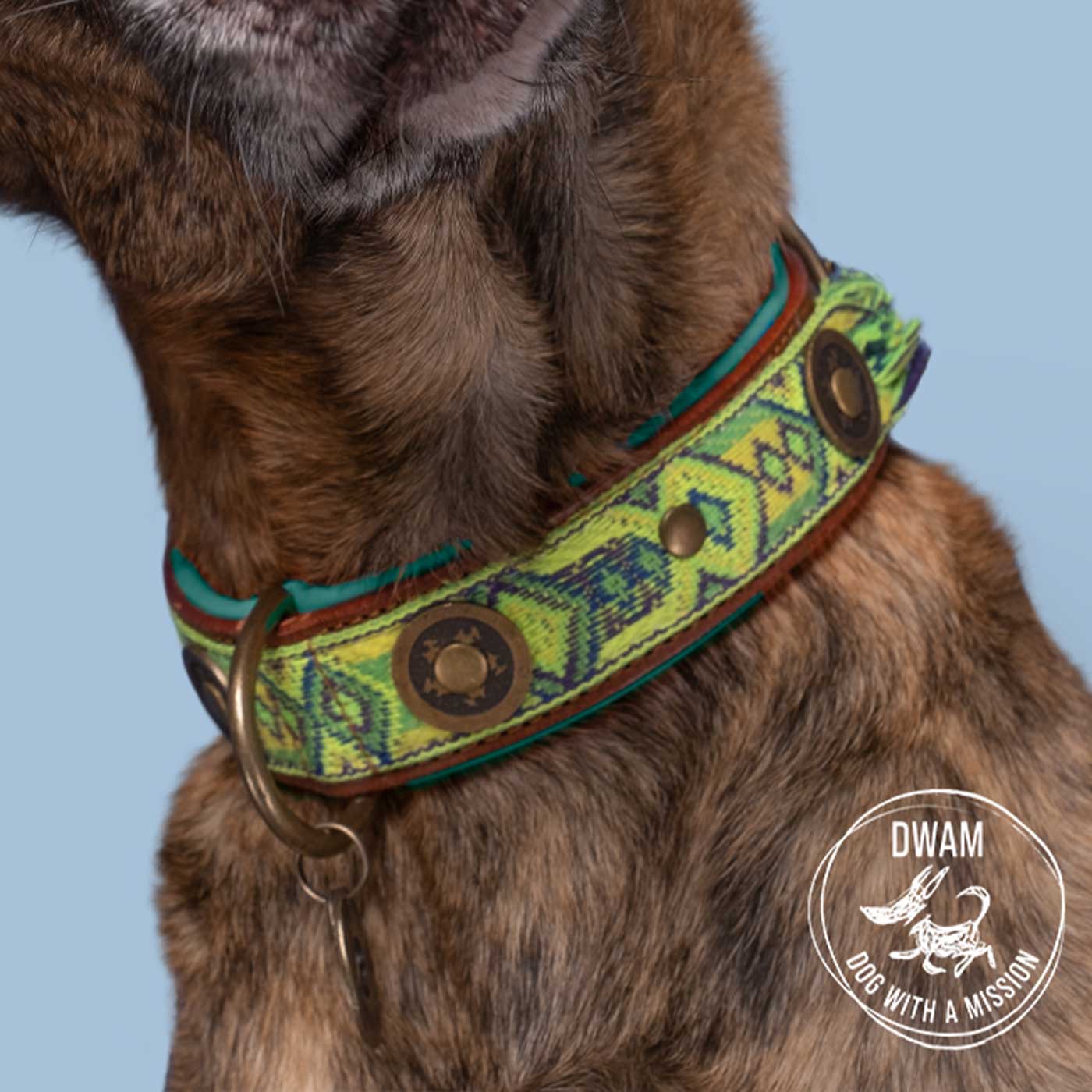 Boho Diego Dog Collar by DWAM