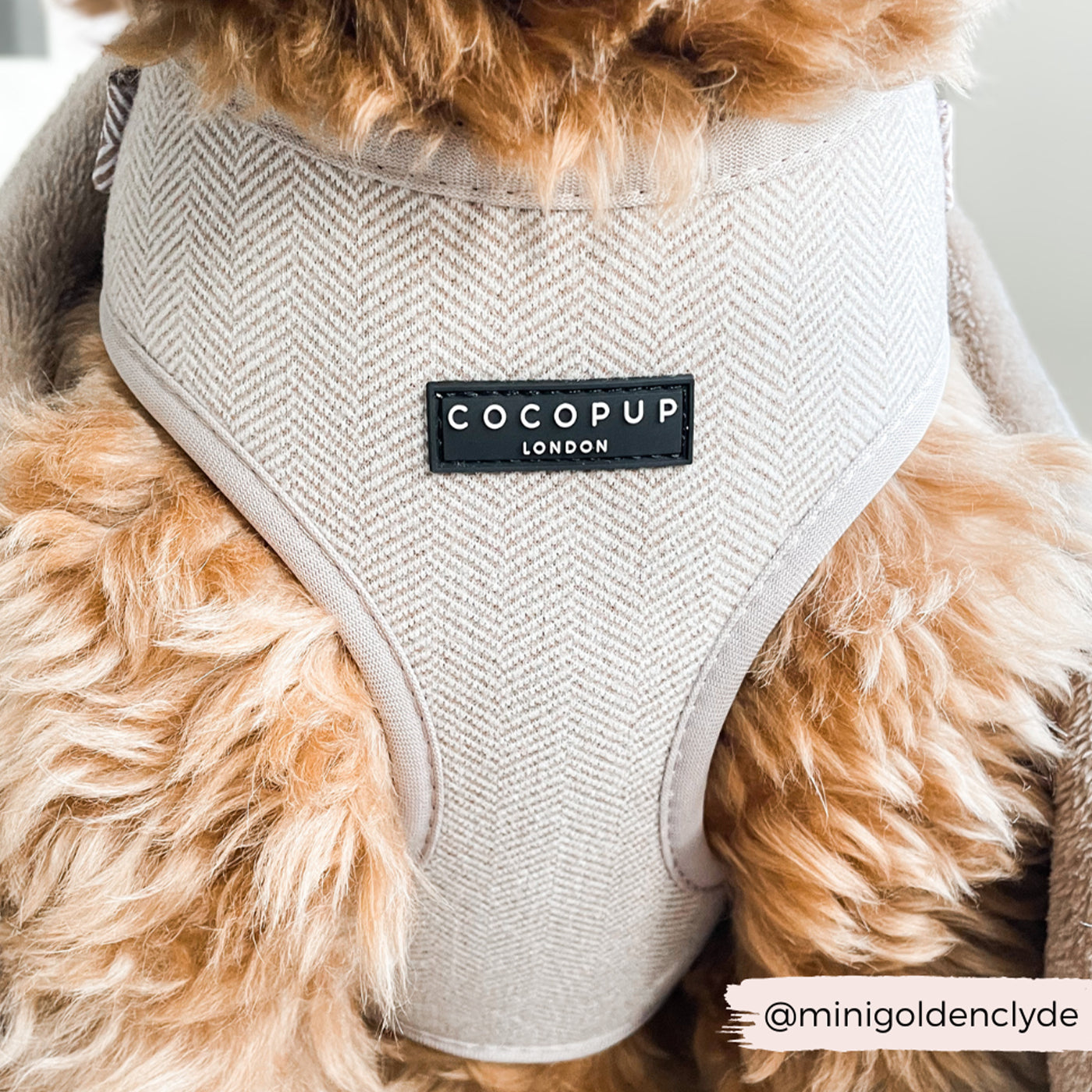 Cocopup London Brown Tweed Adjustable Neck Harness