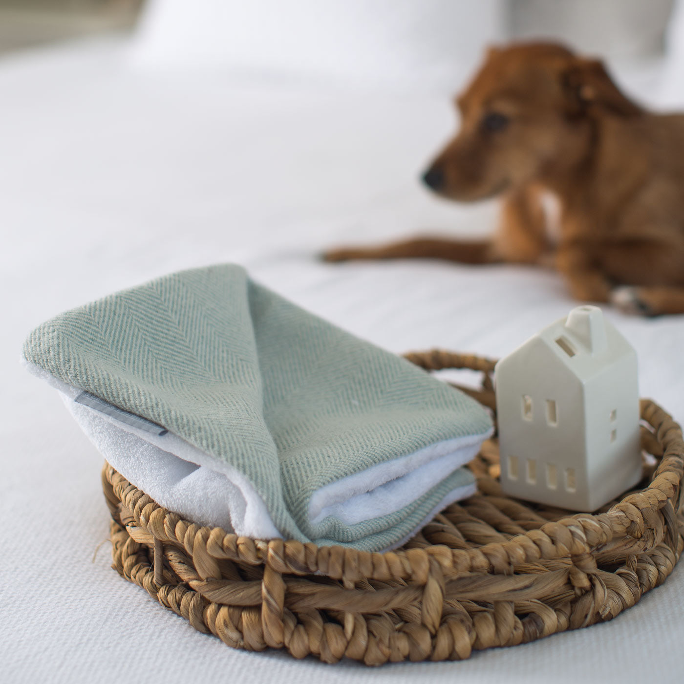 [colour:duck egg herringbone] Luxury Herringbone Pet Scent Blanket collection, In Stunning Duck Egg Herringbone. The Perfect Blanket For Dogs, Available at Lords & Labradors
