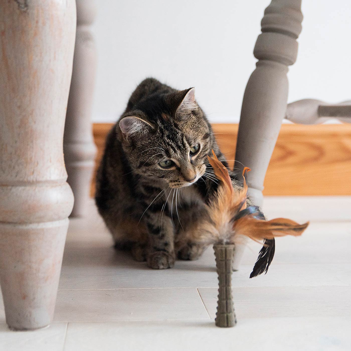 GiGwi Feather Stick Cat Toy