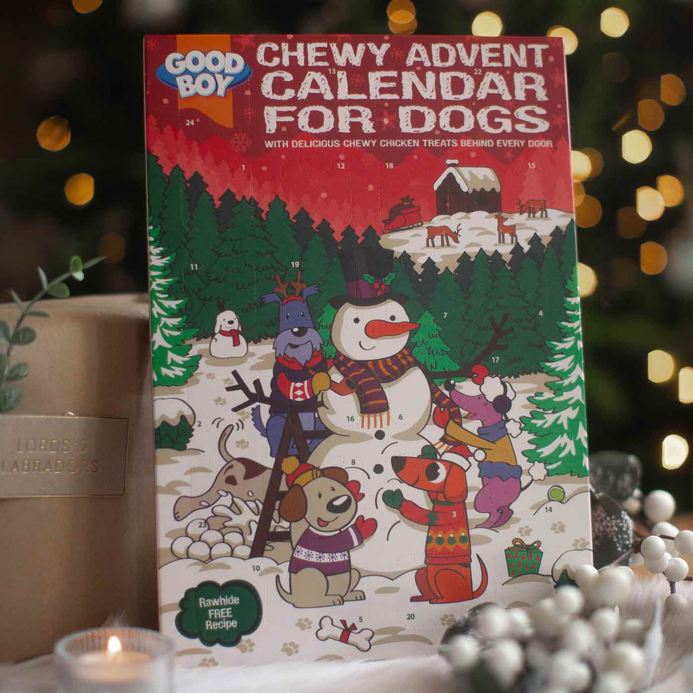 Good Boy Chewy Dog Advent Calendar