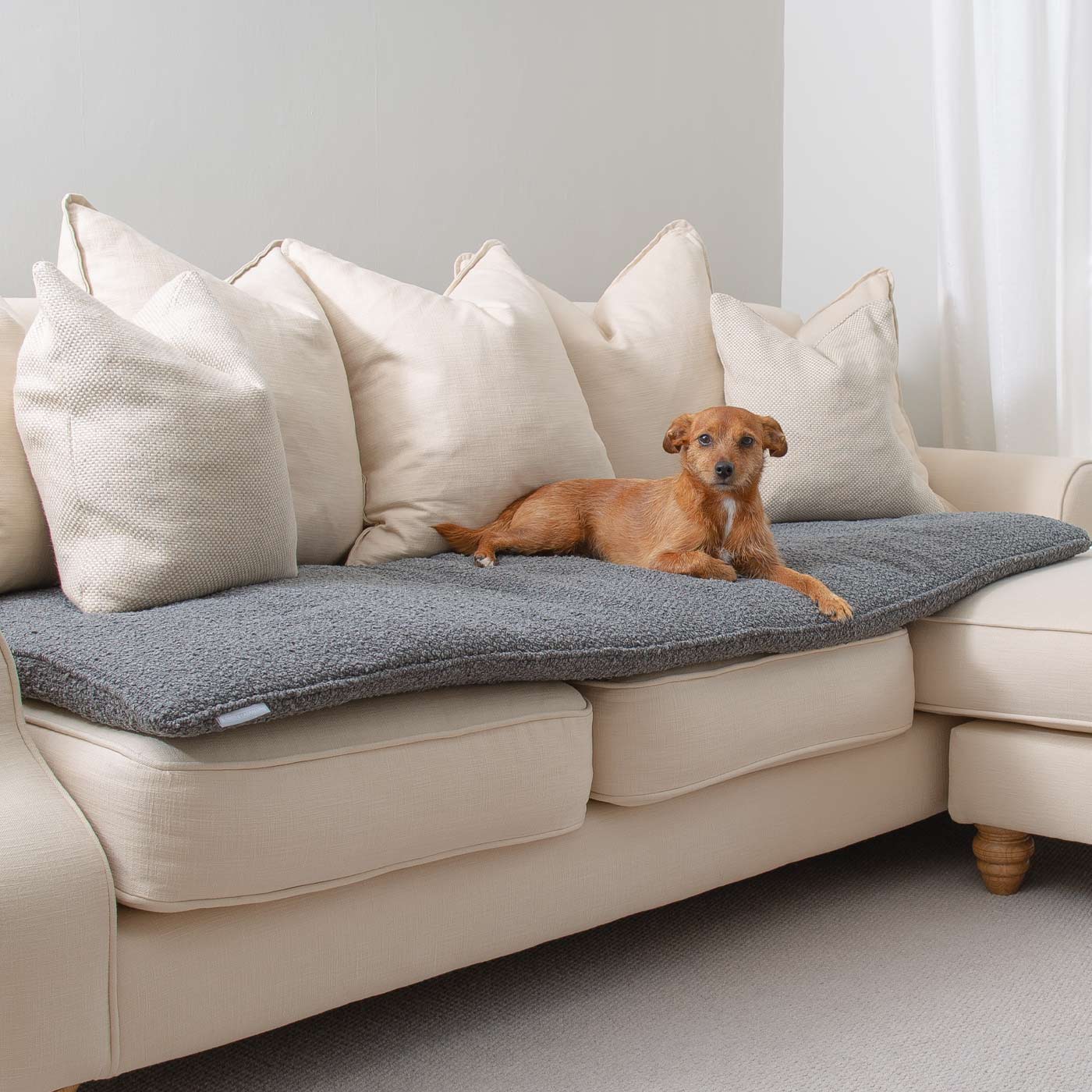 Discover Our Luxury Boucle sofa Topper, The Perfect Pet sofa Accessory In Stunning Granite! Available Now at Lords & Labradors