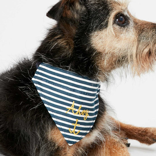 Joules Ahoy There! Nautical Collar & Neckerchief Set
