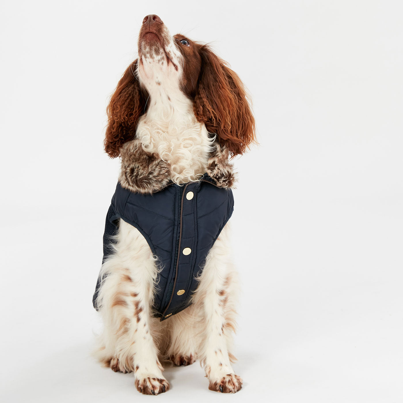 Joules Cherington Dog Coat