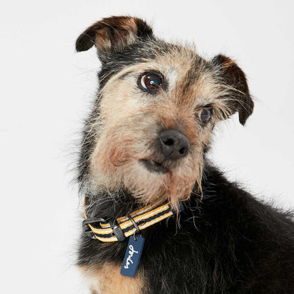 Joules Coastal Yellow & Navy Dog Collar