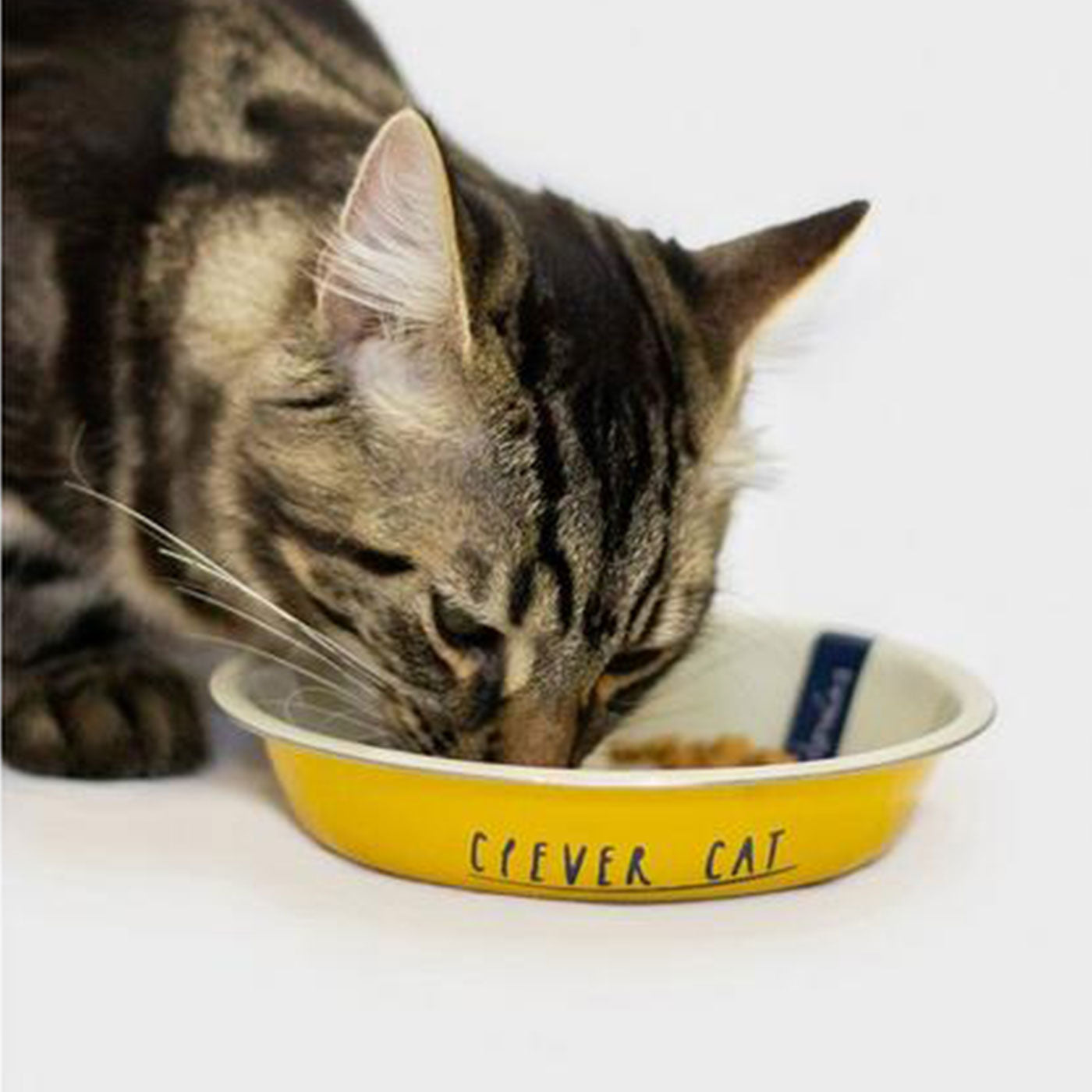 Joules 'Clever Cat' Cat Bowl