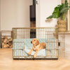 Gold Dog Crate with Duck Egg Spot Cushion & Bumper by Lords & Labradors