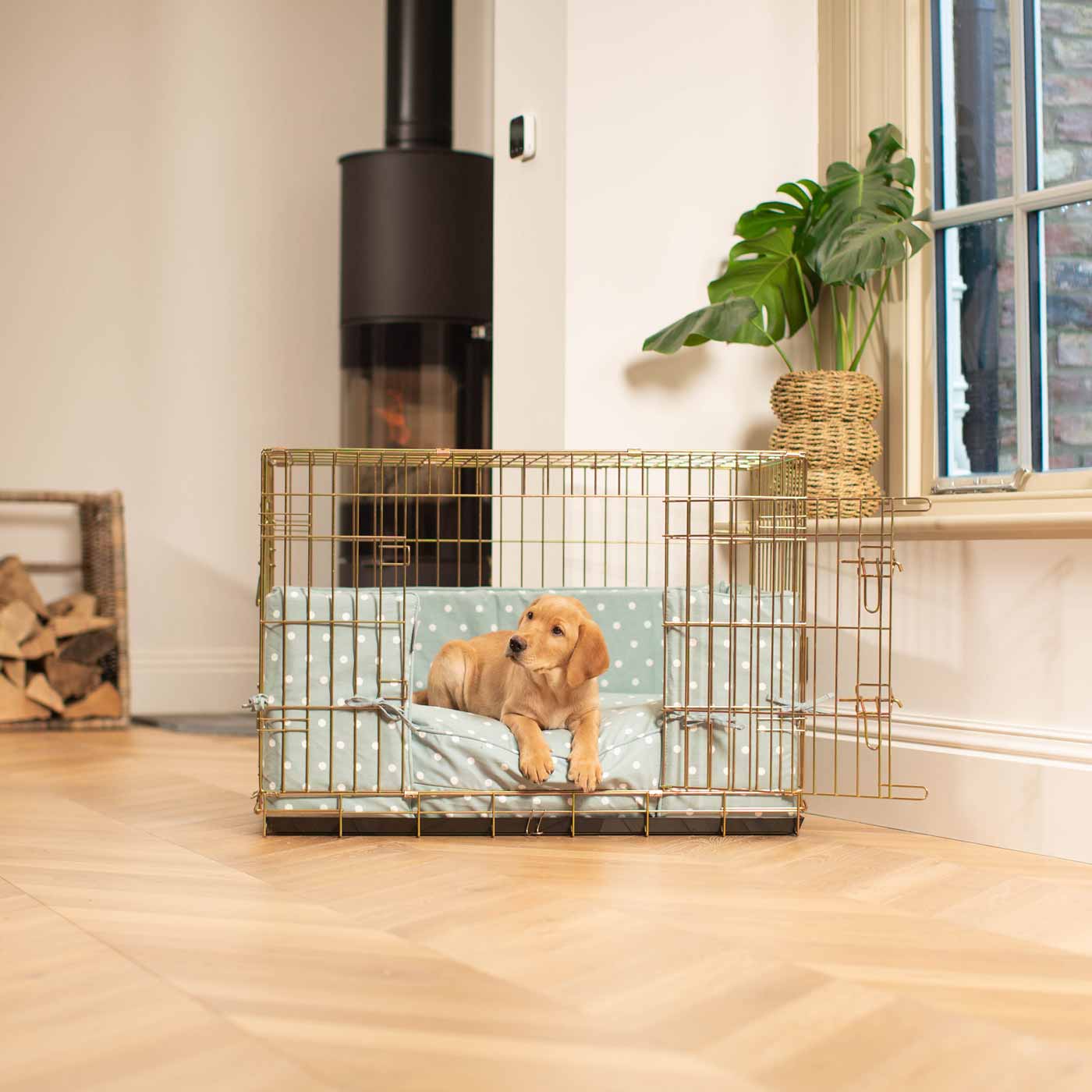 Dog crate bumper store and cushion set