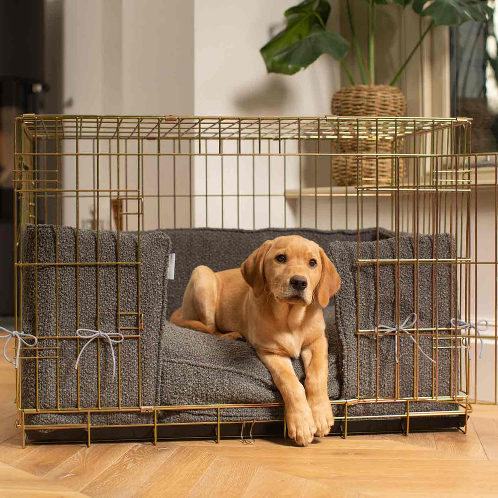 Curated visual reference: Visual Reference: Crate Granite Bouclé Cushion And Bumper Set Dog Bedding
