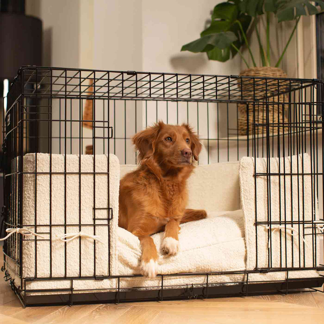 View of Ivory Bouclé Cosy & Calming Puppy Box Bed | Luxury Dog Beds | Lords And ...