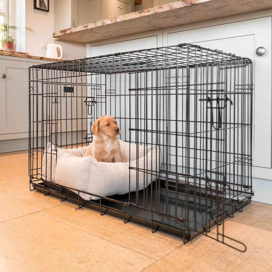 How To Crate Train Your New Puppy L&L Info Hub Lords & Labradors