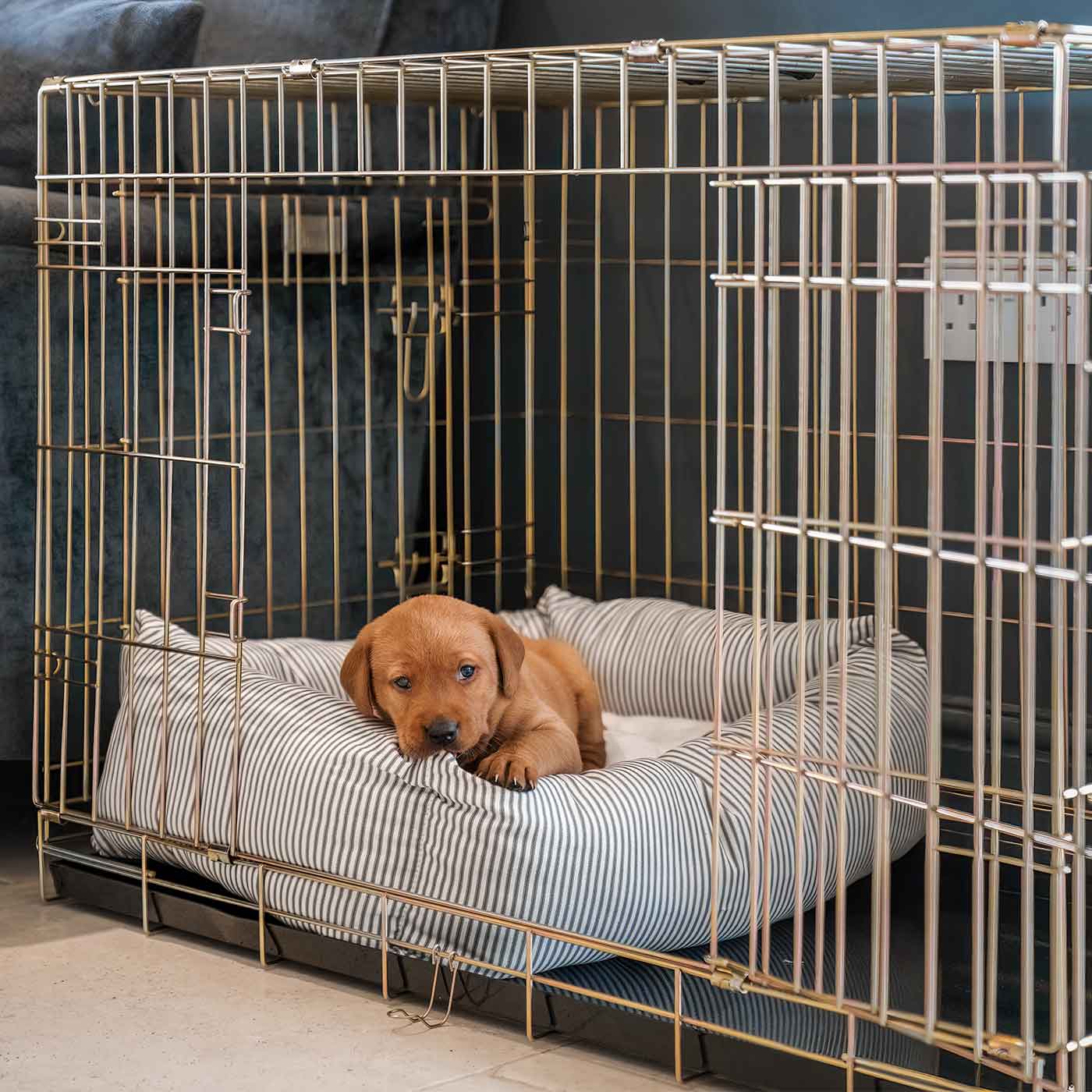 Cosy Calming Puppy Crate Bed With Removable Covers in Regency Stripe by Lords Labradors