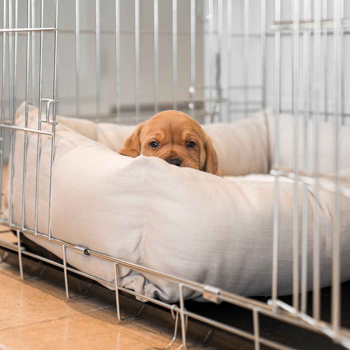 Savanna Cosy & Calming Puppy Box Bed | Luxury Puppy Beds | Lords ... - Puppy Crate Bed For Small Spaces