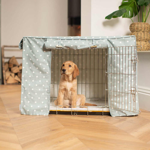 Discover our Luxury Dog Crate Cover, in Duck Egg Spot. The Perfect Dog Crate Accessory, Available To Personalise Now at Lords & Labradors