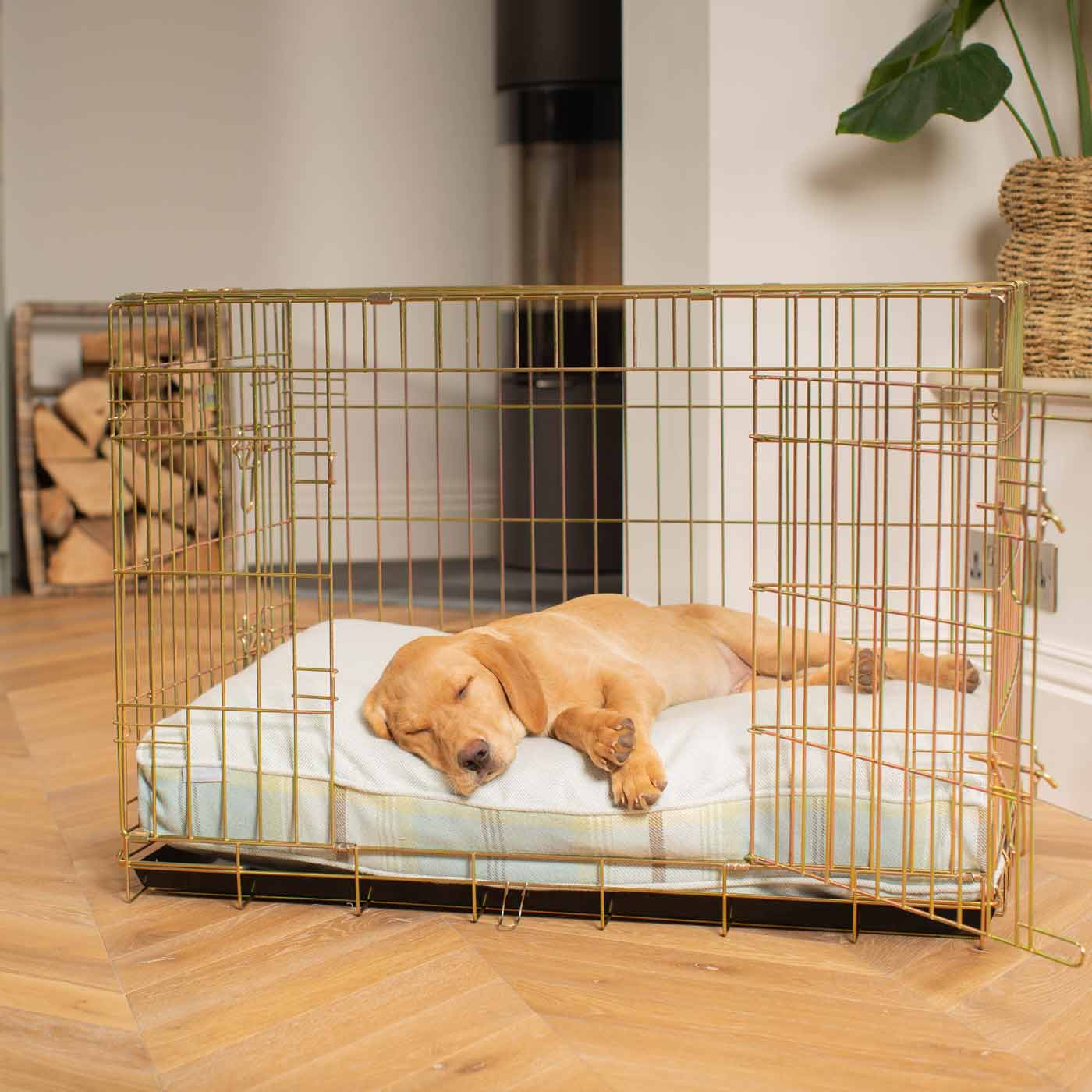 Luxury Gold Dog Crate Cushion, Duck Egg Tweed Crate Cushion! Perfect Dog Crate Accessory, Available To Personalise Now at Lords & Labradors