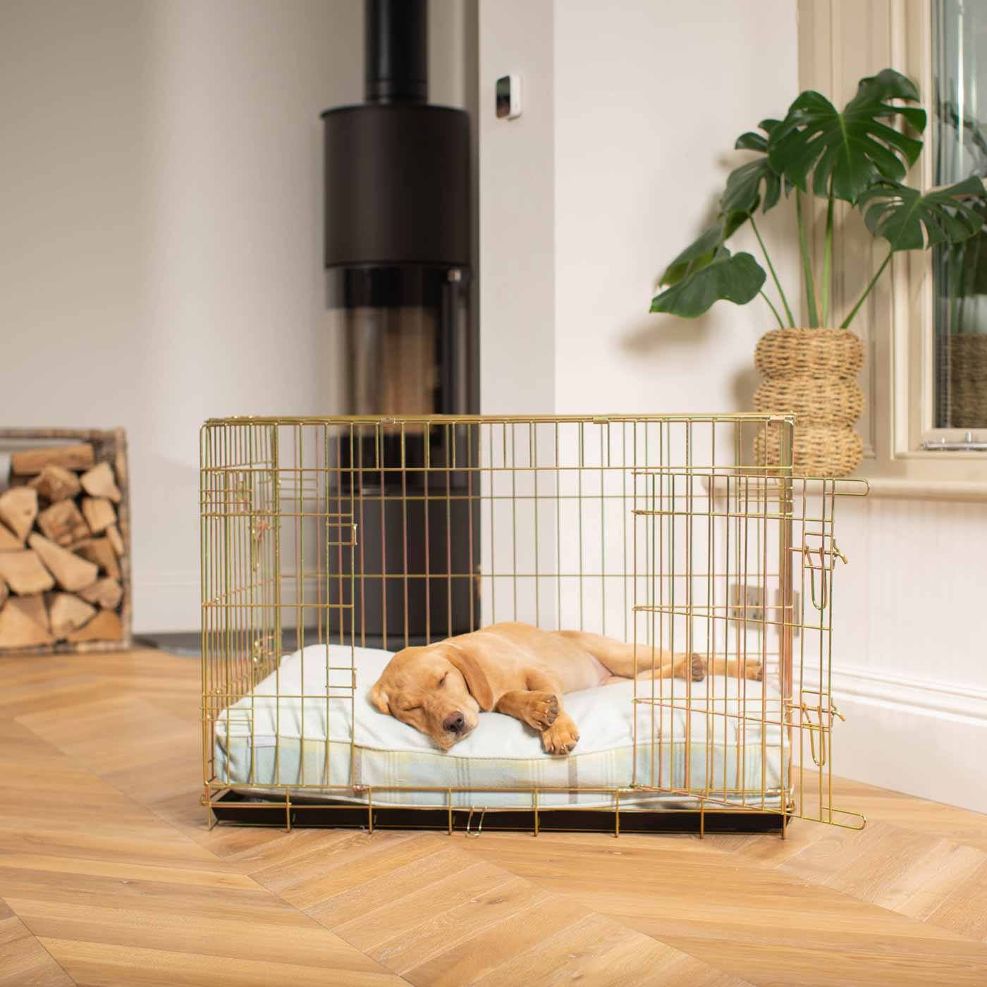 Luxury Gold Dog Crate Cushion, Duck Egg Tweed Crate Cushion! Perfect Dog Crate Accessory, Available To Personalise Now at Lords & Labradors