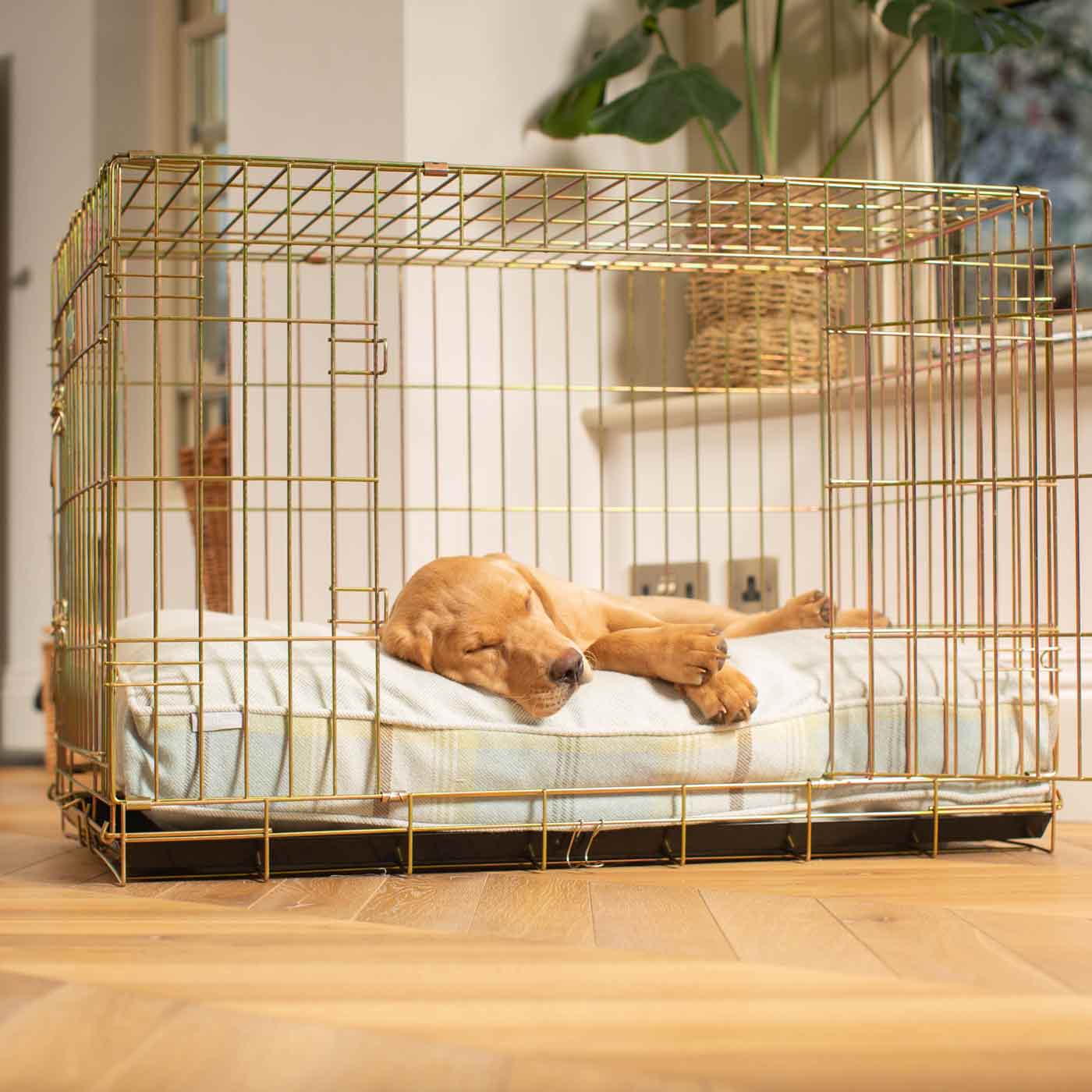 Luxury Gold Dog Crate Cushion, Duck Egg Tweed Crate Cushion! Perfect Dog Crate Accessory, Available To Personalise Now at Lords & Labradors
