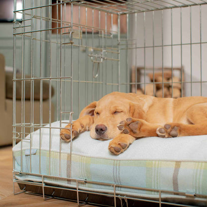 Luxury Dog Crate Cushion, Balmoral Duck Egg Tweed Crate Cushion The Perfect Dog Crate Accessory, Available To Personalise Now at Lords & Labradors
