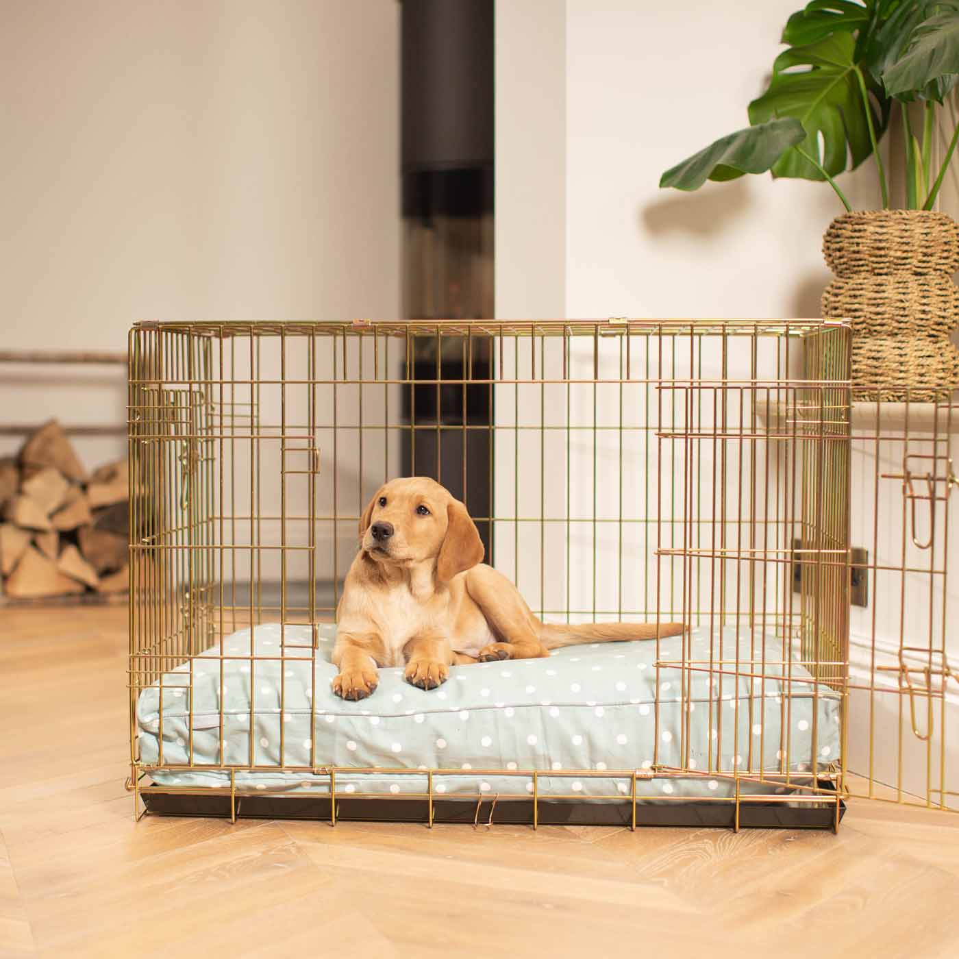 Luxury Dog Crate Cushion, Duck Egg Spot Crate Cushion The Perfect Dog Crate Accessory, Available To Personalise Now at Lords & Labradors