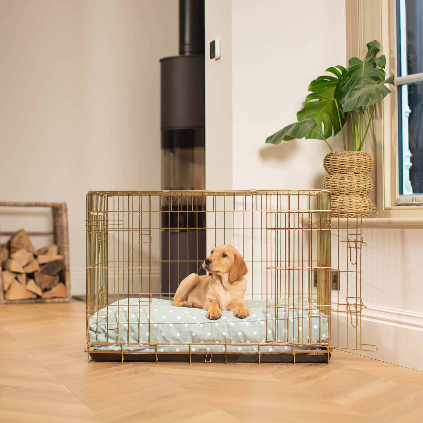 Discover Our Heavy-Duty Dog Crate With Spots & Stripes Duck Egg Spot Cushion! The Perfect Crate Accessories. Available To Personalise Here at Lords & Labradors    