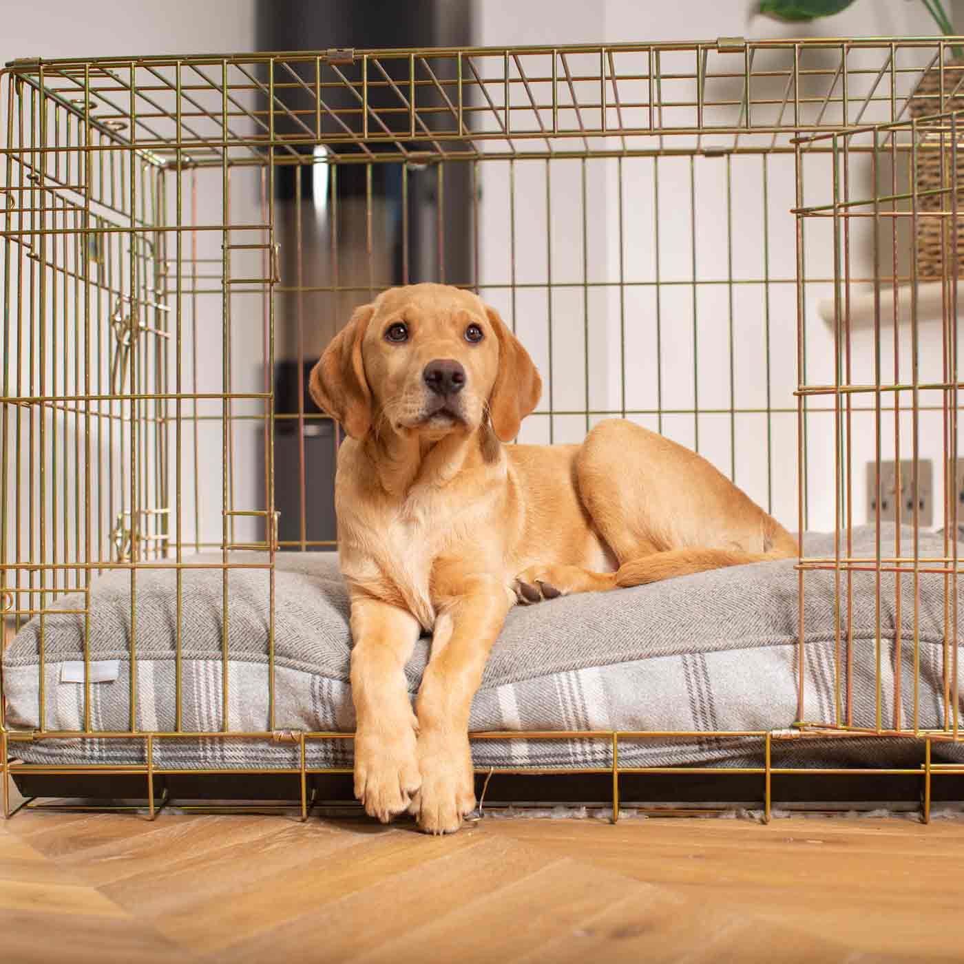 Luxury Dog Crate Cushion, Dove Grey Tweed Crate Cushion! Perfect Dog Crate Accessory, Available To Personalise Now at Lords & Labradors