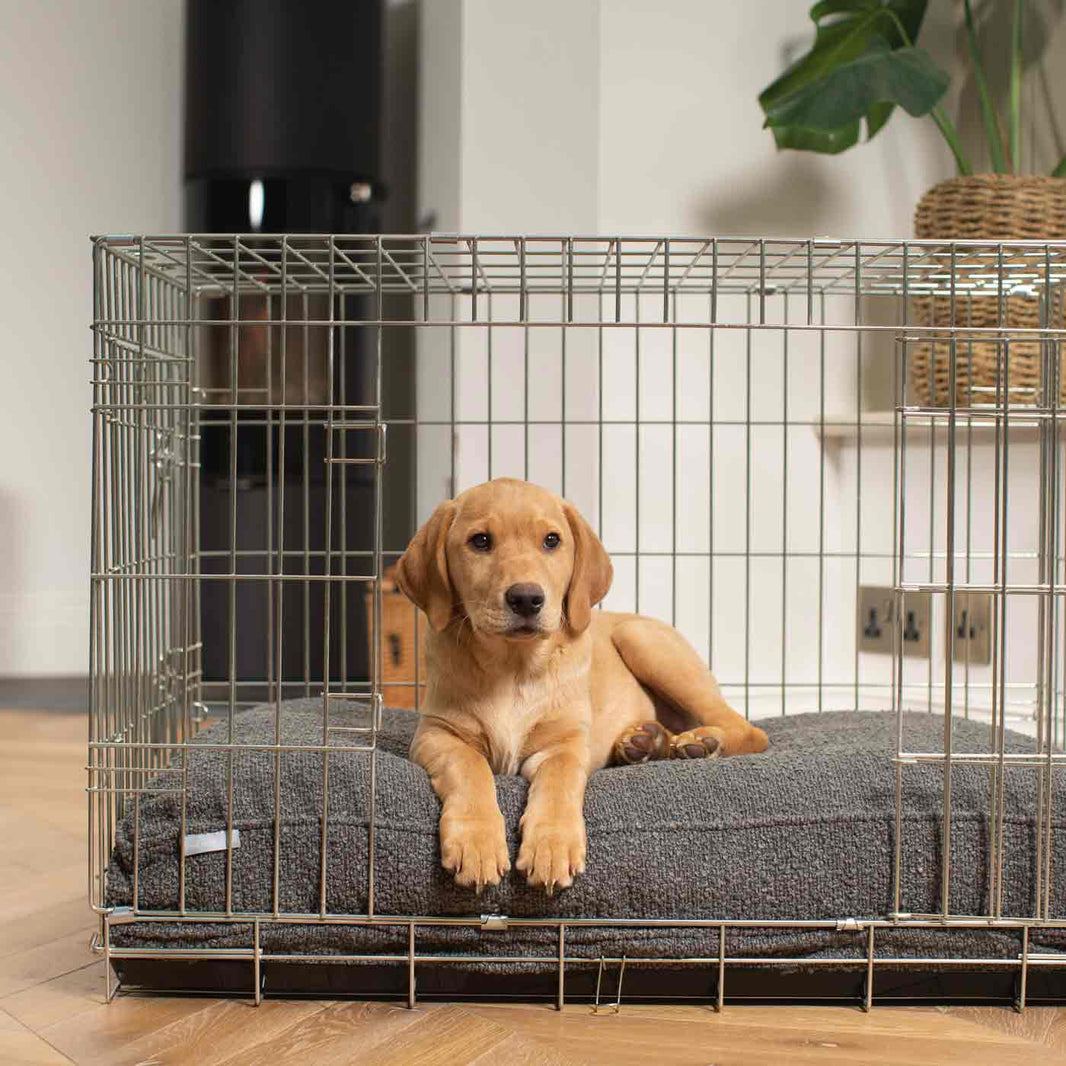 Photo inspiration: Visual Reference: Wooden Rustic Sliding Door Dog Crate White Wash Dog Crate
