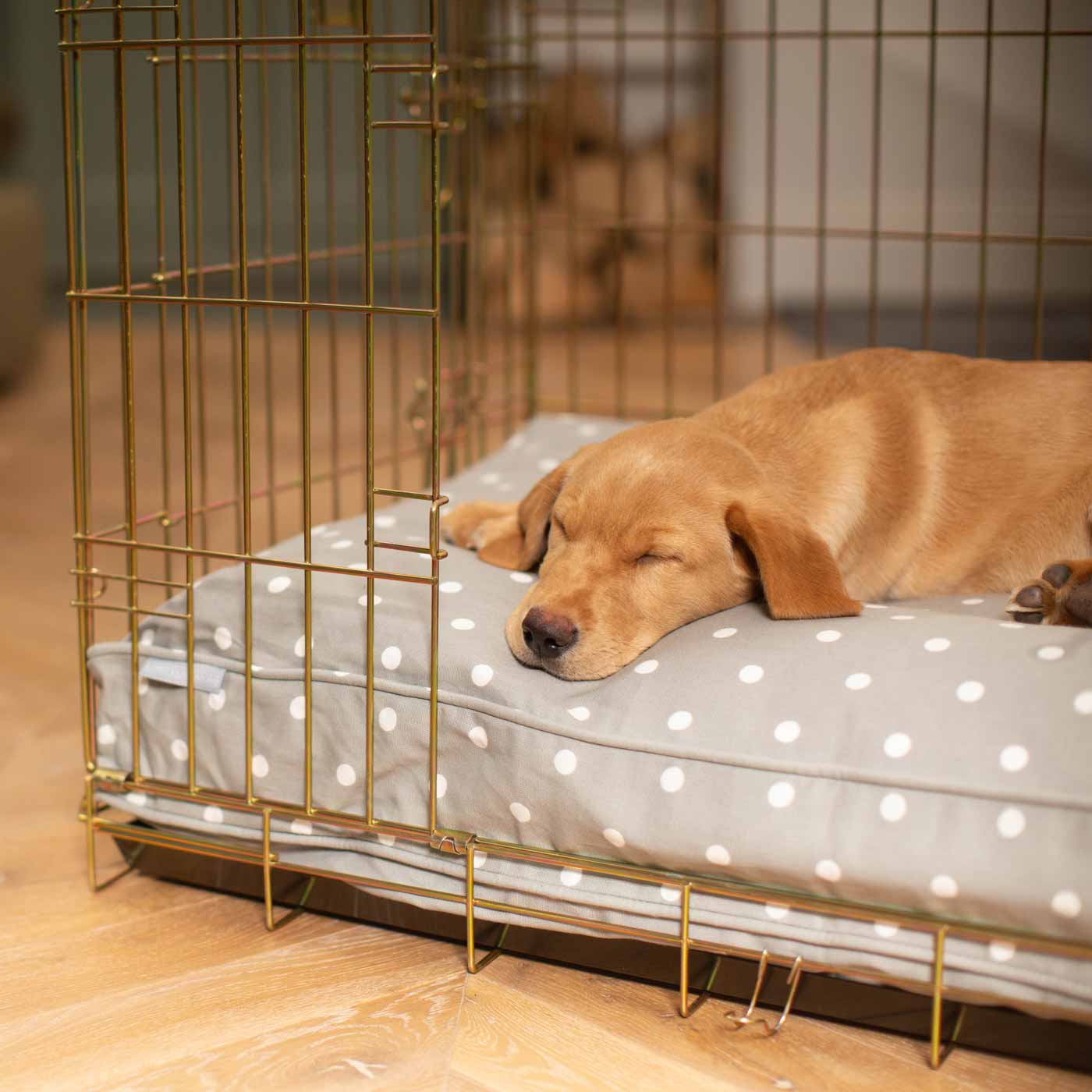 Discover Our Heavy-Duty Dog Crate With Spots & Stripes Grey Spot Cushion! The Perfect Crate Accessories. Available To Personalise Here at Lords & Labradors