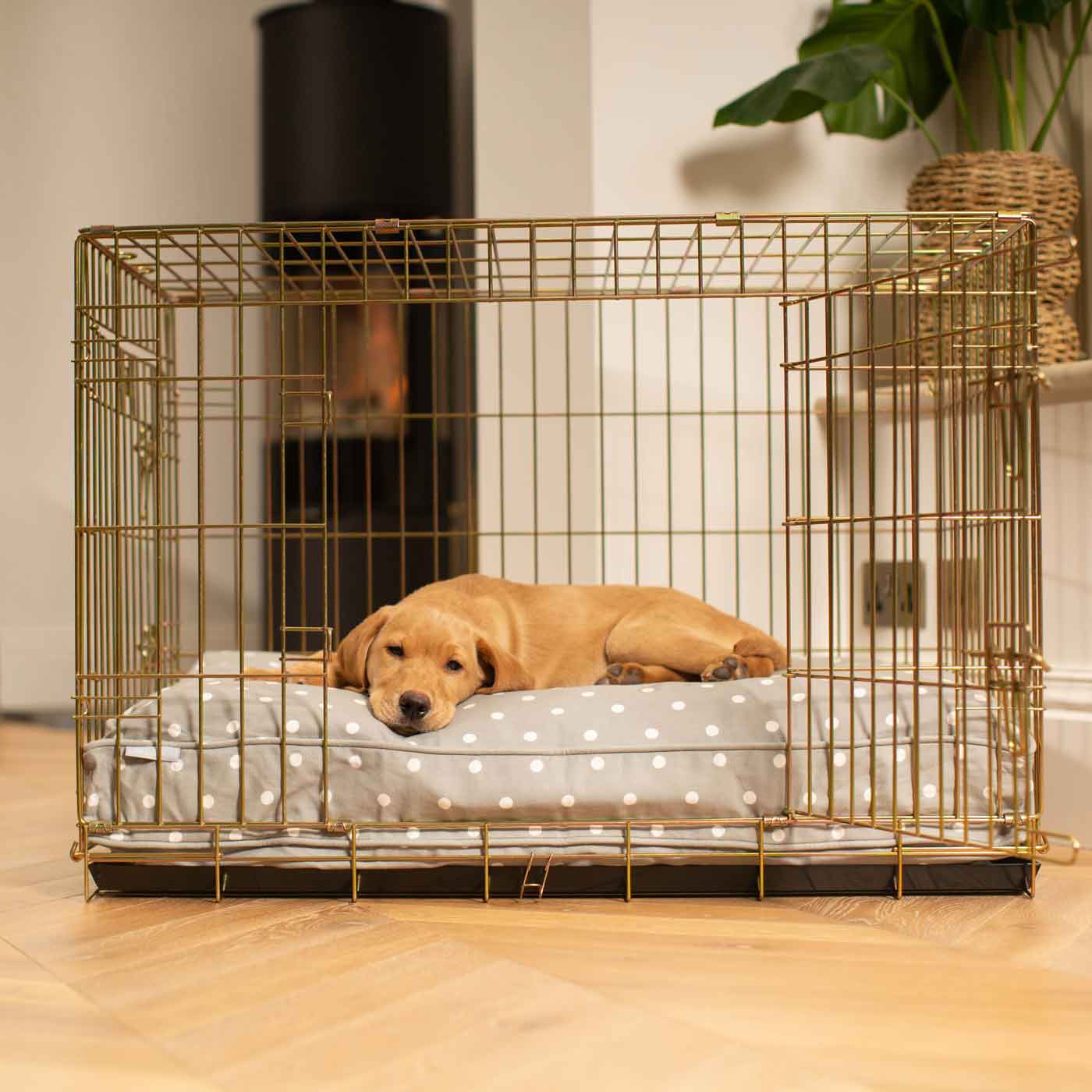Discover Our Heavy-Duty Dog Crate With Spots & Stripes Grey Spot Cushion! The Perfect Crate Accessories. Available To Personalise Here at Lords & Labradors